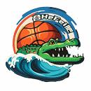  合肥文旅女篮logo