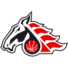  帕度比斯logo