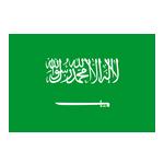 沙特阿拉伯logo